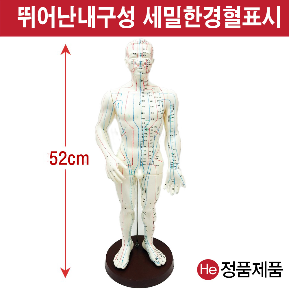 침구동인형남자 50cm HD8001ZY 인체모형 사람인체구조 아나토미 뇌구조 대뇌 위모형 간모형 뇌모형 두개골 척추 인대 근육모형 인체해부도 뇌혈관 전신모형 동인형 뇌해부 인체모형 소형 사람인체구조 아나토미 위모형 간모형 뇌모형 두개골 척추 인대 근육모형 인체해부도 척골 요골 전신모형 동인형 경혈인형 손모형 발모형