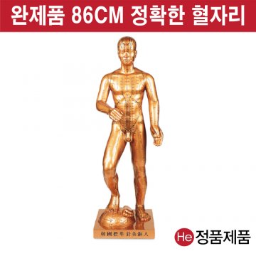 해성동인형 대형 1개 한국표준침구 인테리어 해성 소품 장식품 조각상 동상 공예품 경혈모형