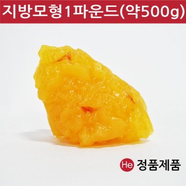 지방모형1파운드(약500g) 인체모형/신체모형/의료/병원/학교/교육실습교구