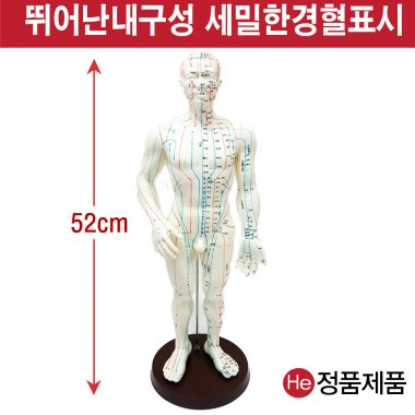 침구동인형남자 50cm HD8001ZY 인체모형 사람인체구조 아나토미 뇌구조 대뇌 위모형 간모형 뇌모형 두개골 척추 인대 근육모형 인체해부도 뇌혈관 전신모형 동인형 뇌해부 인체모형 소형 사람인체구조 아나토미 위모형 간모형 뇌모형 두개골 척추 인대 근육모형 인체해부도 척골 요골 전신모형 동인형 경혈인형 손모형 발모형